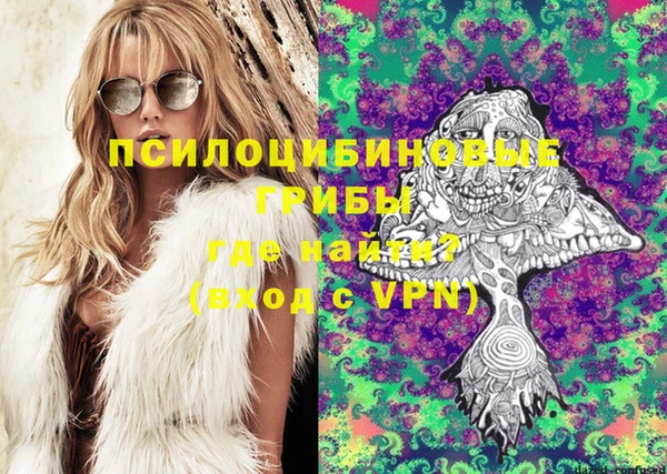 спиды Беломорск
